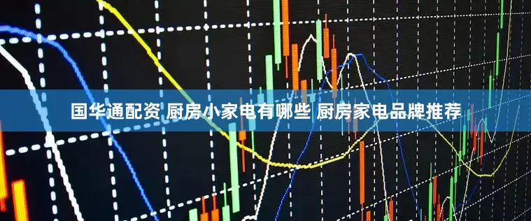 国华通配资 厨房小家电有哪些 厨房家电品牌推荐