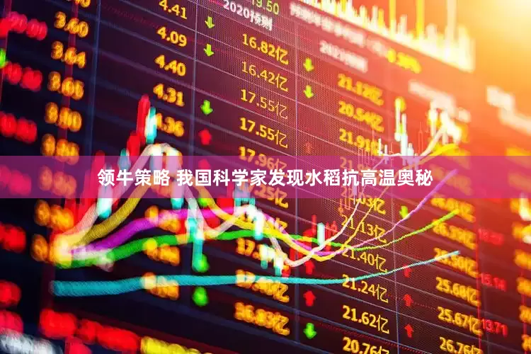领牛策略 我国科学家发现水稻抗高温奥秘