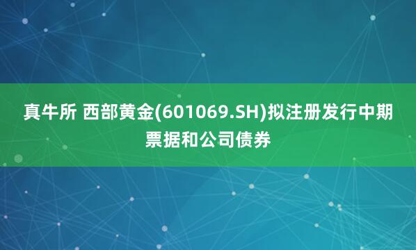 真牛所 西部黄金(601069.SH)拟注册发行中期票据和公司债券