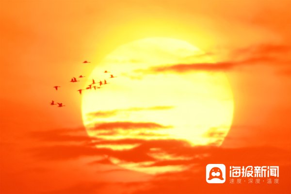 有富策略 山东青岛：候鸟翔集秋光美